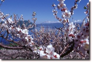 Lake TOYA