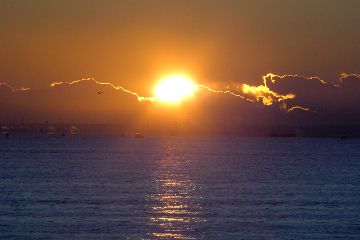 jpg 2008�����ν�