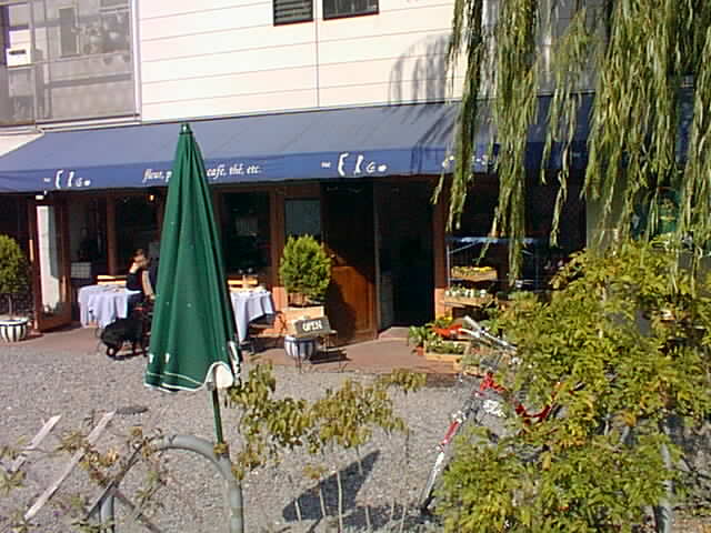 color photograph