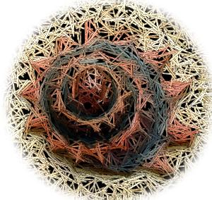 $B3-$N%Z!<%8(B Seeshells