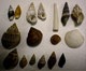 small image of small shells