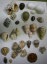 shells on shiranokou
