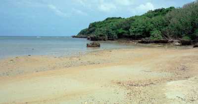 $B%&%,%s:j$N<L??(B