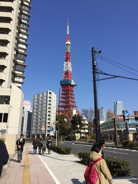 相変わらず美しい