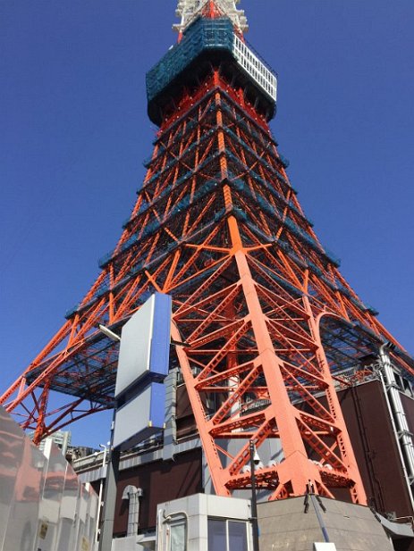 これから・・・