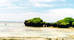 干潮時の星砂の浜は歩いて島まで行けるのだ（1997.6.24「星砂の浜」にて撮影）