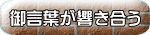 䌾t
