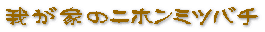 我が家のニホンミツバチ