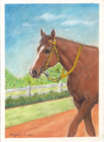馬の絵 -Horse Art Gallery-