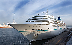 Amadea