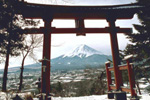 torii