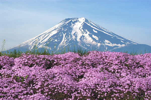 ō