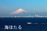 umihotaru