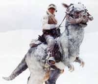 tauntaun.jpg