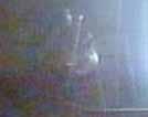 brainwalker.jpg (7093 bytes)