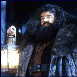 hagrid.gif (16280 oCg)