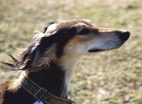 ���[�g�̎ʐ^