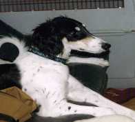 �T���T�ʐ^