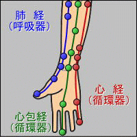 手の経絡