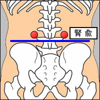 腎兪の説明