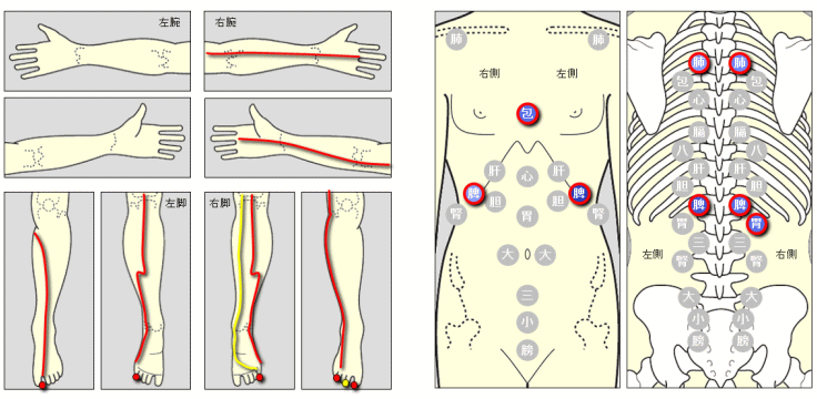 げんきＤＡＳ「触診シート」