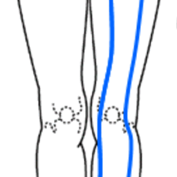 ひざの慢性痛のデータ