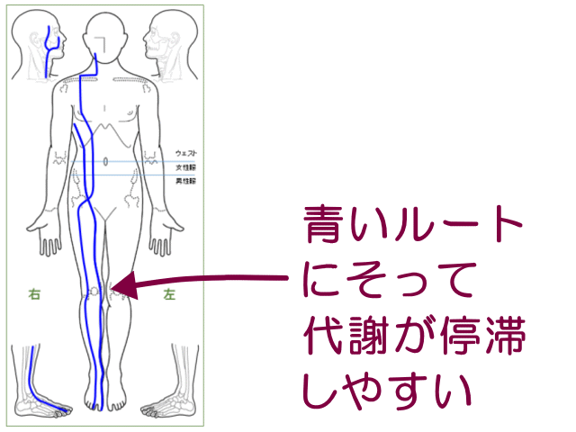 ひざ前面の代謝の停滞　げんきＤＡＳ