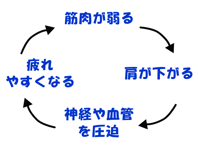 肩こりの悪循環　げんきＤＡＳ