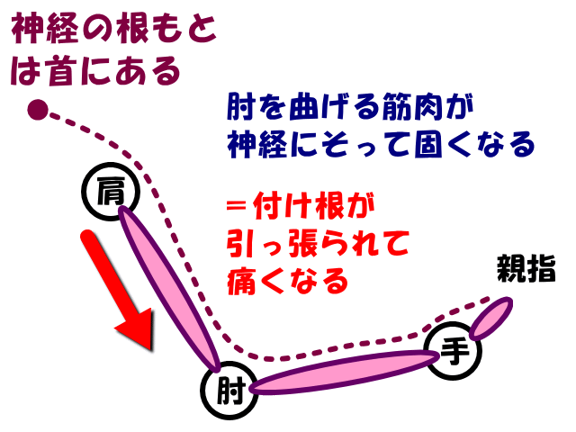 神経と協調筋　げんきＤＡＳ