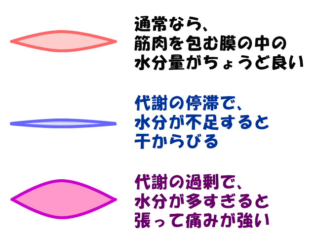 水分量と痛みのちがい　げんきＤＡＳ