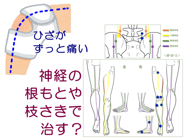 ひざの慢性痛とげんきＤＡＳ