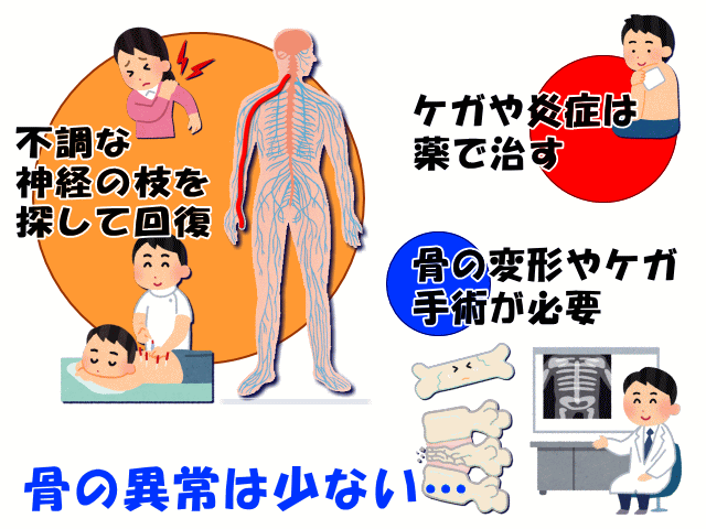 鍼灸、接骨と病院　げんきＤＡＳ