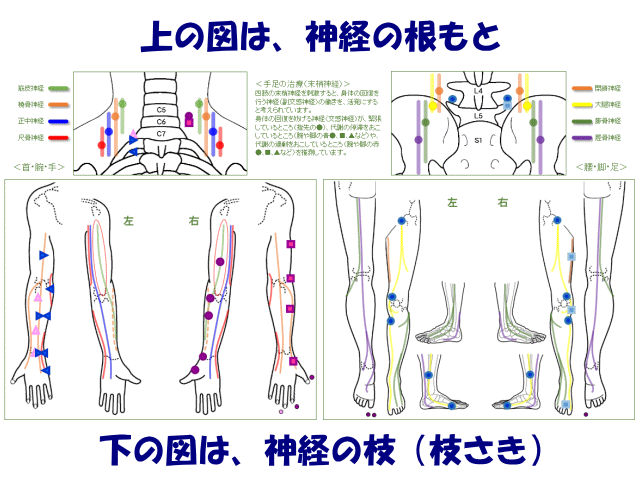手足の治療（末梢神経）　げんきＤＡＳ