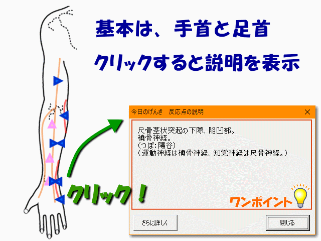 つぼの説明も表示　げんきＤＡＳ