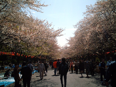 ueno-park01.JPG (81443 oCg)