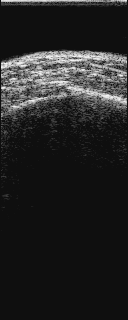 e-rokunankotsu-f.GIF (16252 oCg)