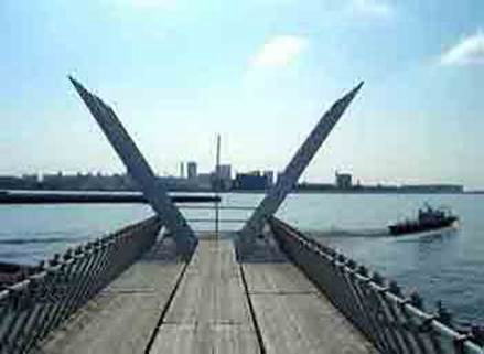 http://www.ne.jp/asahi/ike/mizu/swan/image0021.jpg