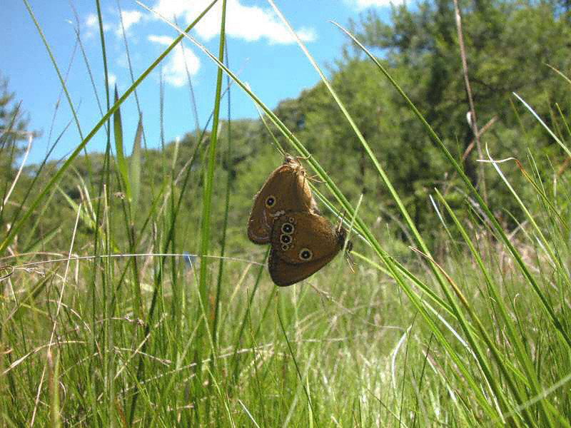 �q���q�J�Q���