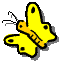 buttfly pic