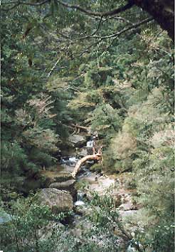 ���v�������h�̑�