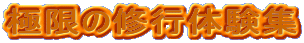 �Ɍ��̏C�s�̌��W