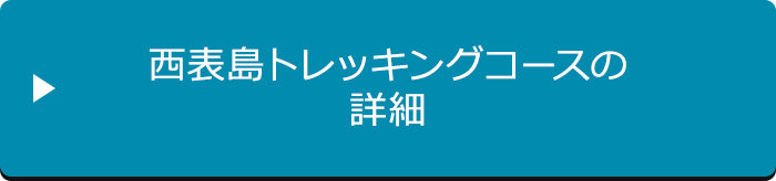 西表島トレッキングコースの詳細