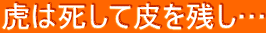 Ղ͎Ĕcc