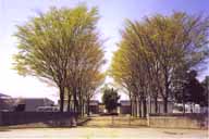 ޏǗ.jpg (37887 oCg)