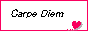 䎝Aoi[
