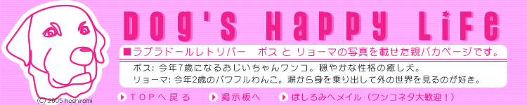 �����R�̃y�[�W�ł����I