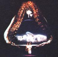 �p���W�t�@���̃C���[�W