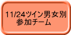 11/24ツイン男女別 　　参加チーム