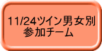 11/24ツイン男女別 　　参加チーム