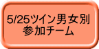 5/25ツイン男女別 　　参加チーム